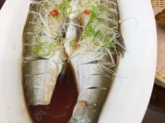 -茶港食堂(武昌店)