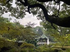 -申粤轩酒楼·三十年粤菜经典(丁香花园店)