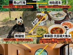 -紫藤园·天目湖大鱼头(南山竹海店)