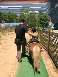 -萌宠亲子动物乐园(槐房万达店)