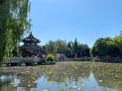 -莲池书院博物馆