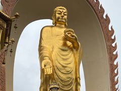 -庐山风景名胜区-东林大佛