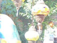 -The Grounds of Alexandria