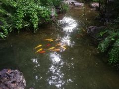 -那家山城(樱桃园店)