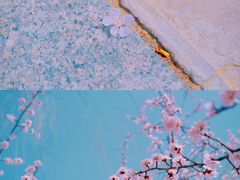 -满都海公园