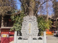 -兴教寺