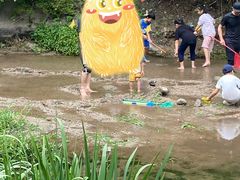 -白水寺森林公园