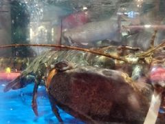 -盒马鲜生(莱蒙都会店)