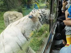 -西安秦岭野生动物园