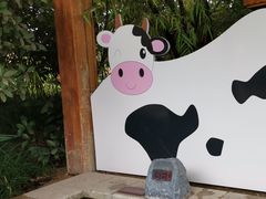 -郑州银基黄帝宫御温泉