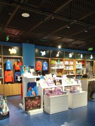 -飞览天下沉浸式飞行体验(北京旗舰店)