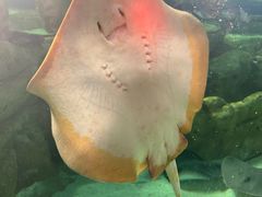 -珠海长隆海洋王国
