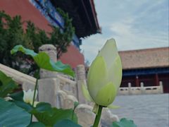 -北京市劳动人民文化宫(太庙)