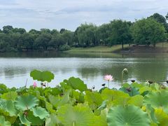 -湘湖大院(越王路店)