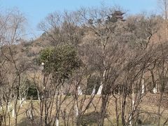 -绍兴镜湖国家城市湿地公园