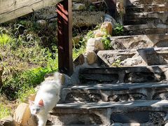 -北京水岸山吧度假村(雁栖镇店)