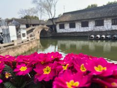 -鲁镇