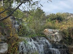 -北京西山国家森林公园