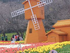 -苏州上方山国家森林公园