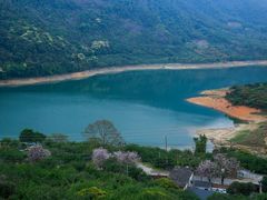 -广州市流溪河国家森林公园