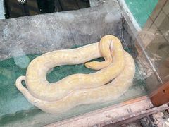 -上海大自然野生昆虫馆