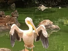-昆明动物园