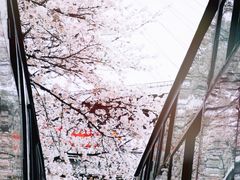 -上海南浦大桥长途旅游客运站