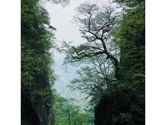 -塔云山