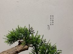 -梅间堂茶馆(绿地缤纷城店)