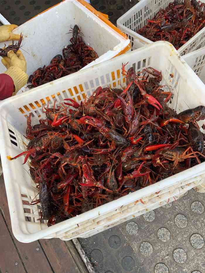 虾小龙老长沙龙虾馆(五一广场店)-"#长沙小龙虾# 长沙网上推荐的小