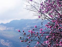 -九皇山景区