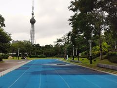 -文华公园(禅城区)