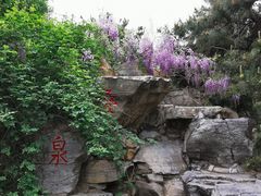 -玲珑塔公园