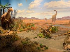 -贝林大翅鲸简餐厅(国家海洋博物馆店)