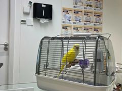 -立德异宠动物医院.兔鸟爬.内窥镜(天河店)