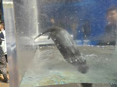 -波塞冬海底世界