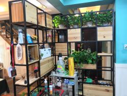 -众刺纹画·纹身·穿孔饰品·海娜定制