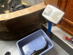 -风情丽江斑鱼火锅(孙家沟西南路80号店)