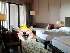 -上海崇明金茂凯悦酒店