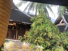 -纳兰傣雀傣味餐厅