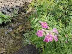 -广州神农草堂中医药博物馆