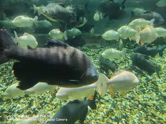 -成都浩海立方海洋公园