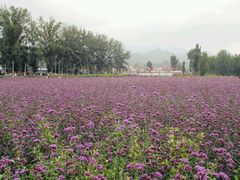 android_upload_pic-乌龙峡谷景区