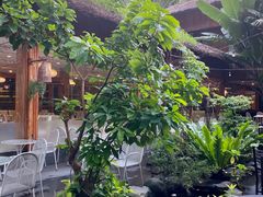 -Trung Nguyen Café Legend