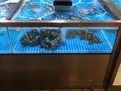 水产区-七鲜超市(通州ONE店)