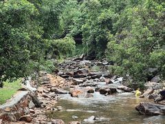 -广州白江湖森林公园