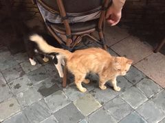 -老外街