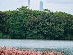 -海珠湖公园