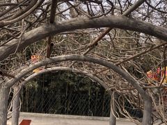 -红螺寺