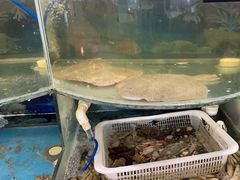 -鑫渔港海鲜本地菜·山海关浑锅(东戴河店)